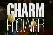 Mavine, a Sans Serif Font by zeenesia (Thumbnail 8 of 17)