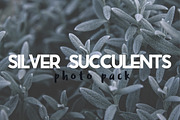 Silver Succulents Photo Pack, a Templates & Theme by c l a r a X Y (Thumbnail 1 of 5)