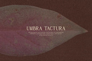 Umbra Tactura - Botanical Textures, a Background Graphic by DigARTbyHavroshka (Thumbnail 5 of 11)