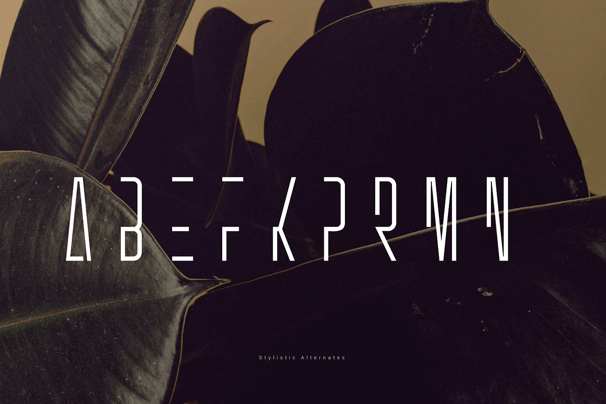 Gumok, a Sans Serif Font by Linecreative (Photo 6 of 8)