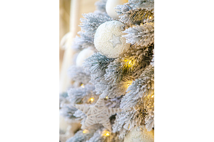 light christmas tree background, a Holiday Photo by yanadjana
