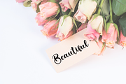 Americano | Script Font, a Handwritten Font by Scratchones (Thumbnail 3 of 8)