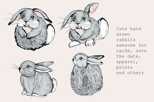 Pretty Bunnies Vector Illustrations