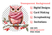 Christmas Owl Watercolor Clipart, an Illustration by Dream Creation (Thumbnail 8 of 8)