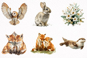 Watercolor Woodland Animals Clipart, an Illustration by DreamArtGraphic (Thumbnail 3 of 8)