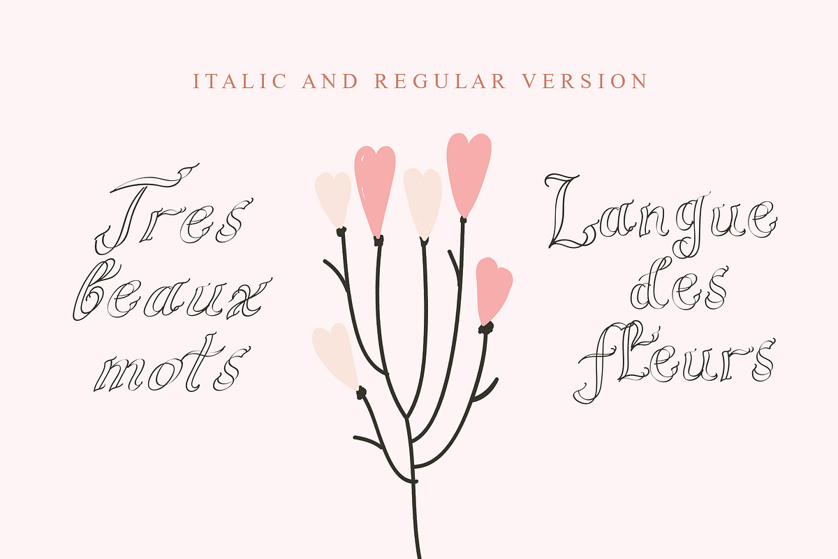 Fleuriste Duoline Font preview 5