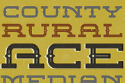 CONCORDIA TYPEFACE, a Slab Serif Font by adamelwell (Thumbnail 3 of 5)