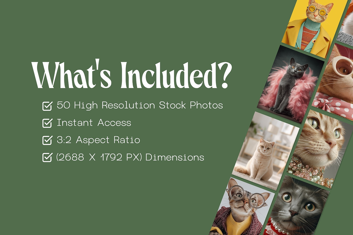 50 Sophisticated Cats Stock Photos, an Animal Illustration by Incomelion (Photo 7 of 13)