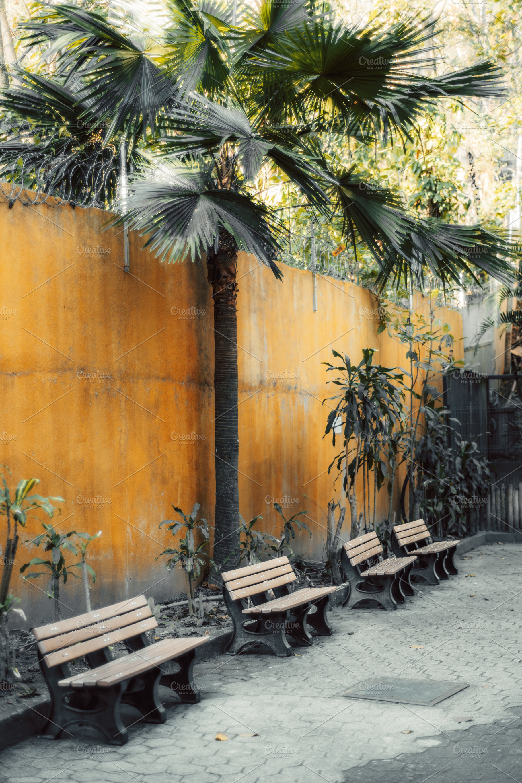 Wooden benches outdoor vertical, an Architecture Photo by SkyNext