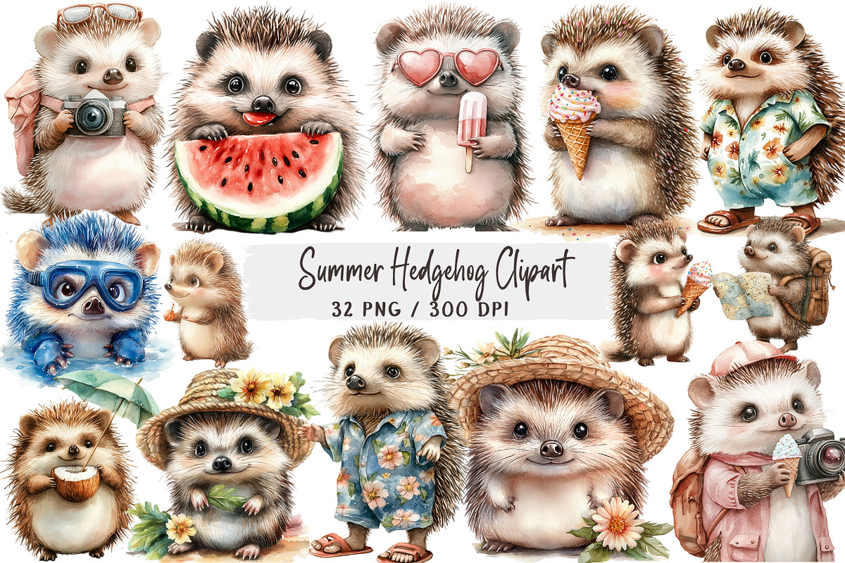 Summer Hedgehog Clipart, an Illustration by DreamArtGraphic (Photo 1 of 4)