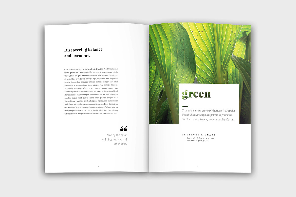 Colora - Bold, Clean Portfolio, a Brochure Template by velvetmade.designs (Photo 3 of 17)