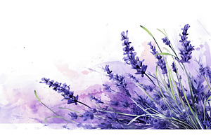 Lavender Sprigs Photo Realistic