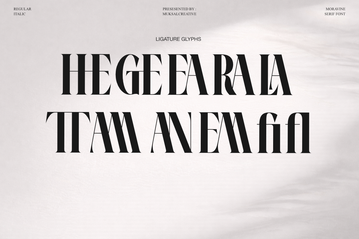 Moravine Modern Editorial Serif, a Serif Font by Muksal Creative (Photo 8 of 10)