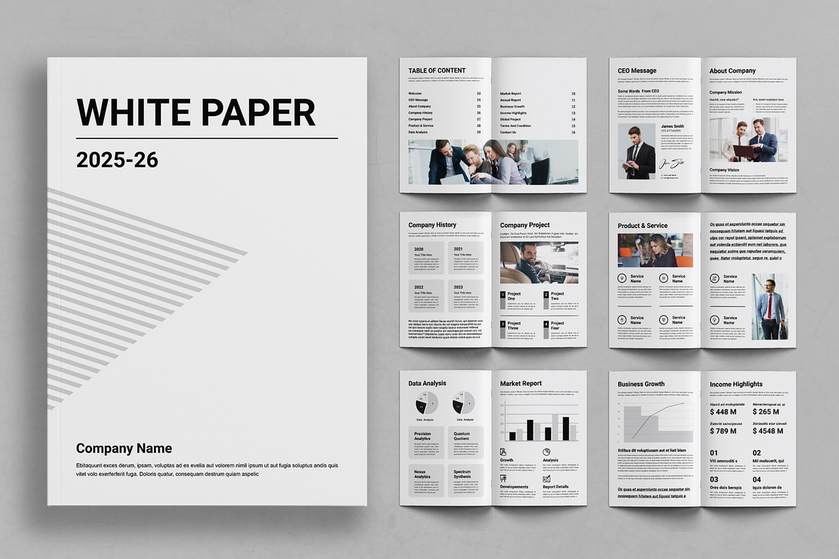 White Paper Template, a Brochure Template by ContestDesign (Photo 1 of 3)