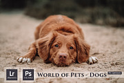 World of Pets Dogs Lightroom Presets, a Preset Add-On by HappyNews (Thumbnail 1 of 7)
