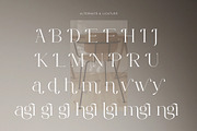 Magite - A New Modern Serif Font, a Serif Font by GridlineType (Thumbnail 9 of 10)