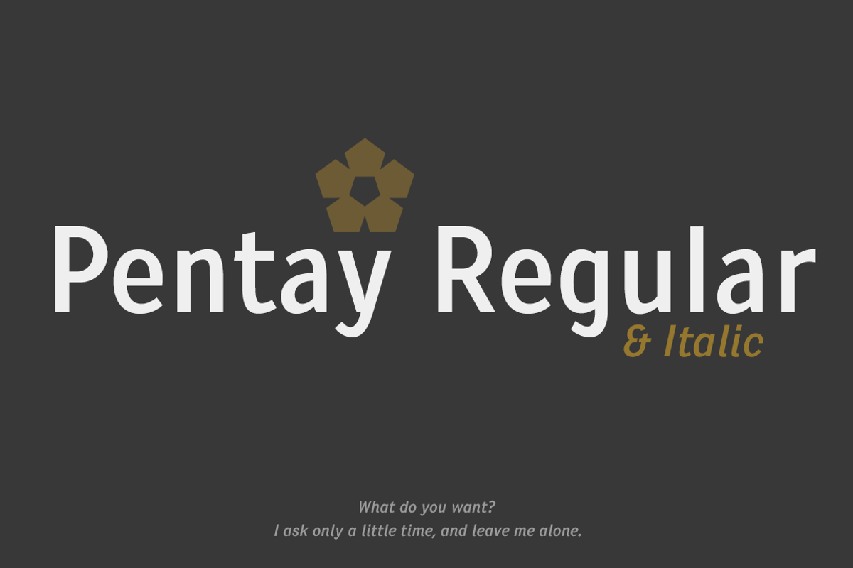 Pentay Sans -5 styles- 30% OFF preview 5