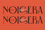 Noisera - Distressed Serif Font, a Serif Font by shineink.designlab (Thumbnail 11 of 15)