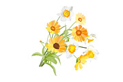 Daffodils Bouquets., an Object Graphic by Peolla (Thumbnail 8 of 9)