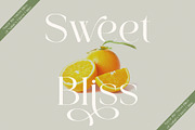 Mellos - Stylish Retro Serif, a Serif Font by GridlineType (Thumbnail 3 of 10)