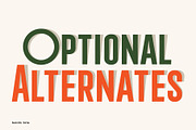 Neumatic Gothic, a Sans Serif Font by Arkitype (Thumbnail 11 of 16)