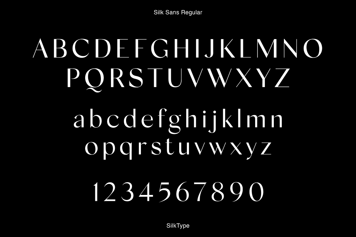 Silk Sans - 6 font family, a Sans Serif Font by Silktype (Photo 4 of 9)