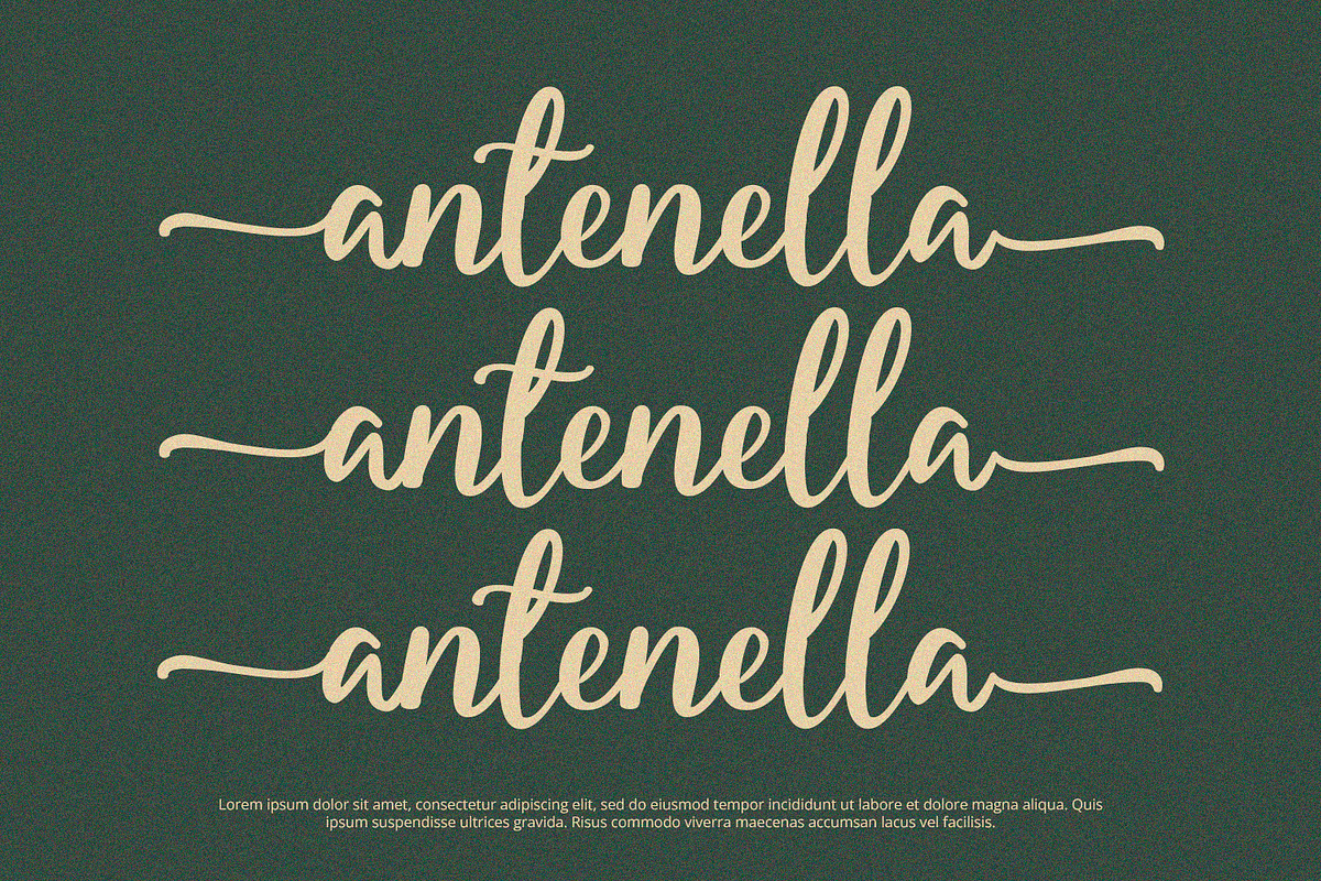 Starella - Script Font, a Font by Alpaprana (Photo 5 of 9)