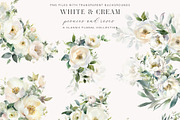 White and Cream Peonies and Roses, a Decorative Illustration by Twigs and Twine (Thumbnail 3 of 6)