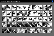 Organica - 50 Black & White Textures, a Background Graphic by ikono.me (Thumbnail 6 of 6)