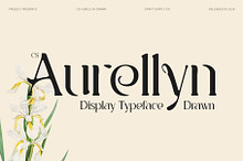CS Aurellyn Drawn