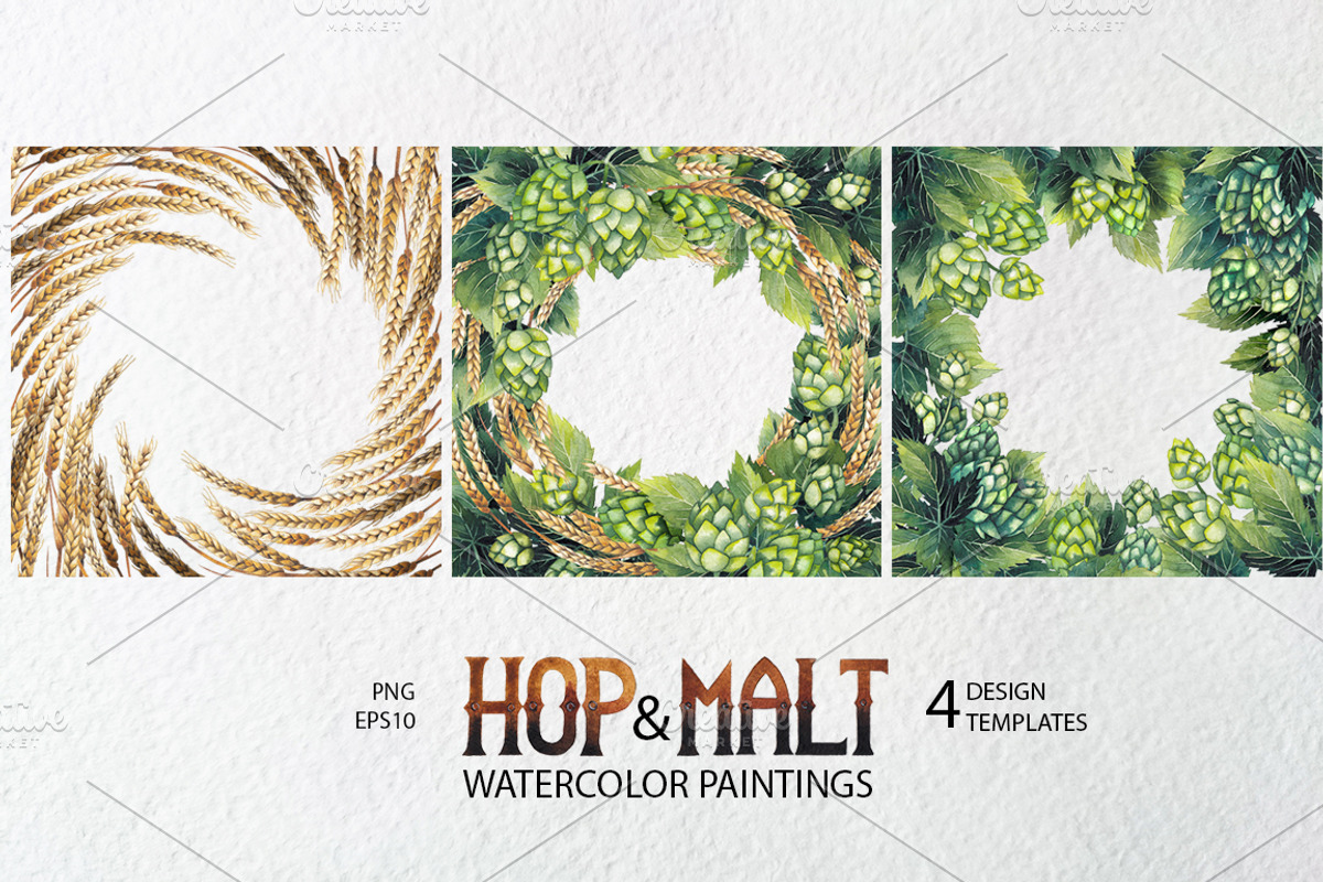 Watercolor hop and malt, a Decorative Illustration by Ekaterina Glazkova (Photo 4 of 6)