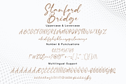 Stamford Bridge Signature Font, a Script Font by Bluestudio (Thumbnail 6 of 11)