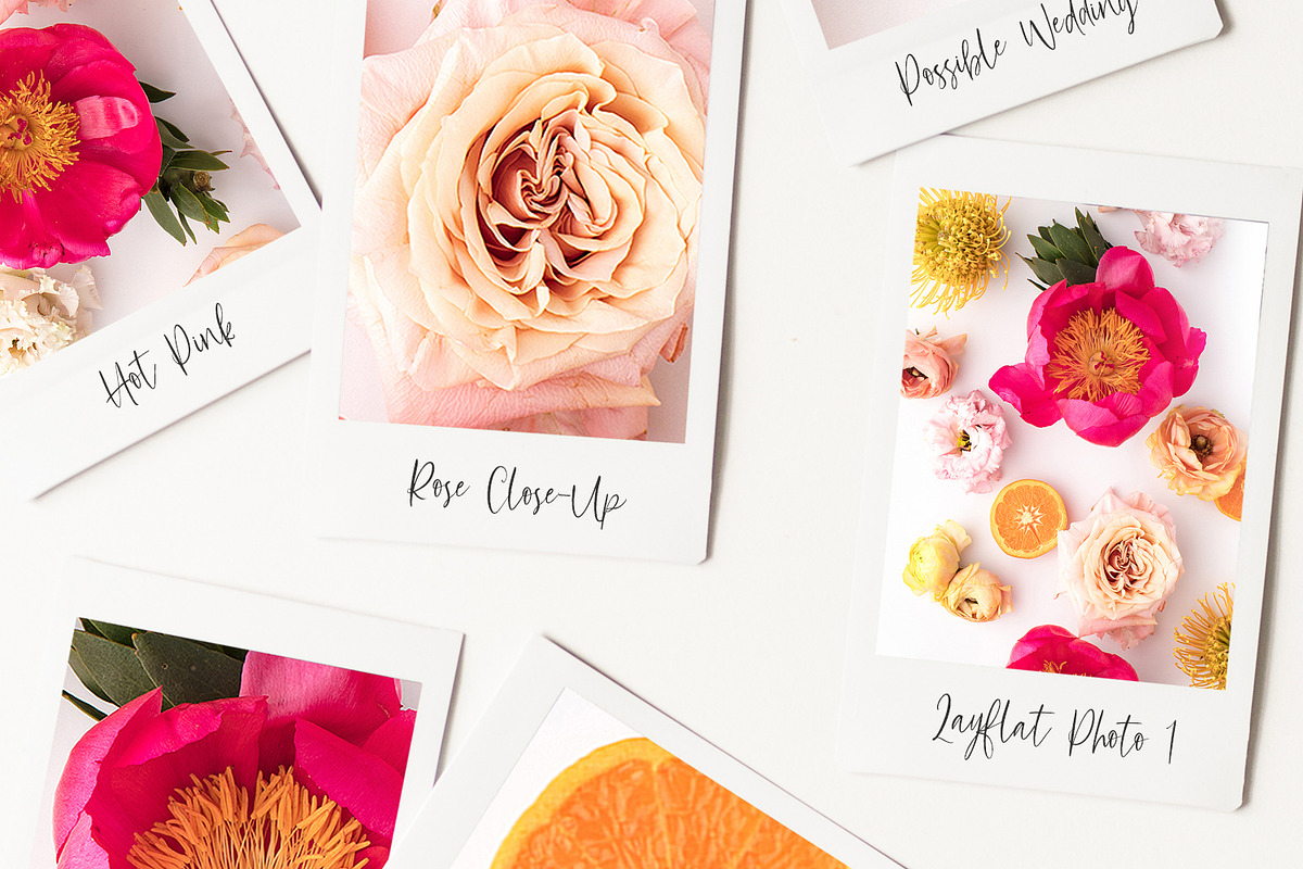 Bloomsberry Type & Graphics, a Handwritten Font by Callie Rian & Co. (Photo 13 of 14)