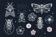 CELESTIAL PATTERN COLLECTION, a Pattern Graphic by LazuInna Shop (Thumbnail 11 of 12)