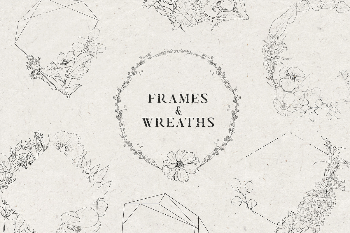 Pencil-drawn flowers, a Decorative Illustration by Damian Roh (Photo 10 of 21)