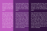 Magnolia - Business Font, a Serif Font by RockboyStd (Thumbnail 6 of 12)