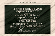 Gisrida Modern Serif Font, a Serif Font by Storytype Studio (Thumbnail 6 of 8)