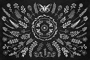 Bloom Сollection, a Decorative Illustration by Luba Vega (Thumbnail 6 of 6)
