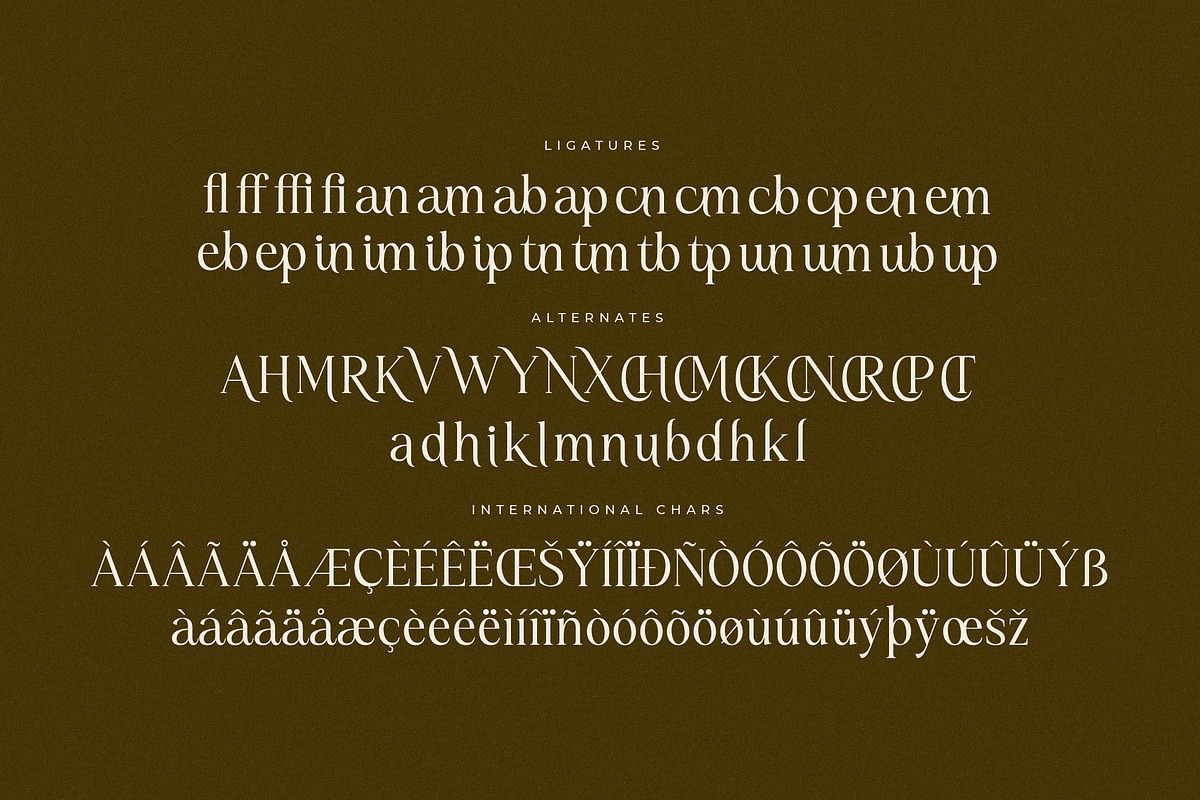 Kiprhany Modern Serif Font, a Serif Font by Letterena Studios (Photo 14 of 15)