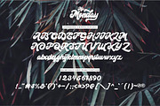 Hi Monday Script, a Script Font by Rudhi Sasmito (Thumbnail 5 of 7)