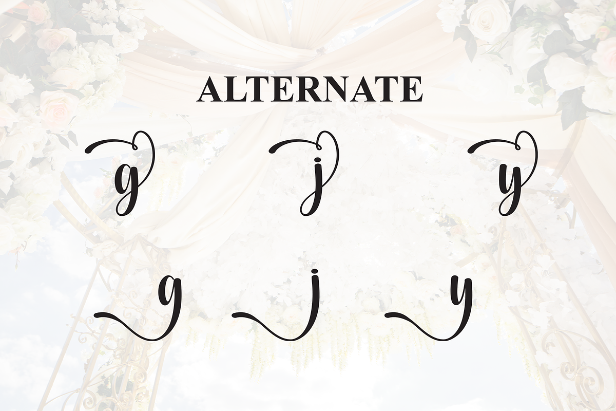 Shiny Wedding | Script Font, a Handwritten Font by Scratchones (Photo 8 of 9)