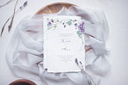 Charming purple pansies, hydrangea, an Illustration by astelenadesign (Thumbnail 8 of 12)