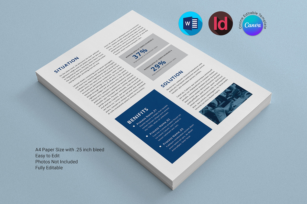 Case Study Canva Flyer Template