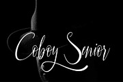Lamtunda Script, a Script Font by Nowlystudios (Thumbnail 5 of 7)