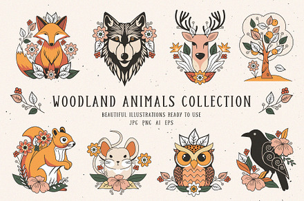 Woodland Animals Collection