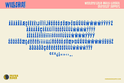 PM Willshire Mid-Century Style Font, a Sans Serif Font by Paper Moon Graphic Supply (Thumbnail 5 of 9)