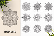 530 Vector Mandala Ornaments, an Animal Illustration by pixaroma (Thumbnail 42 of 55)