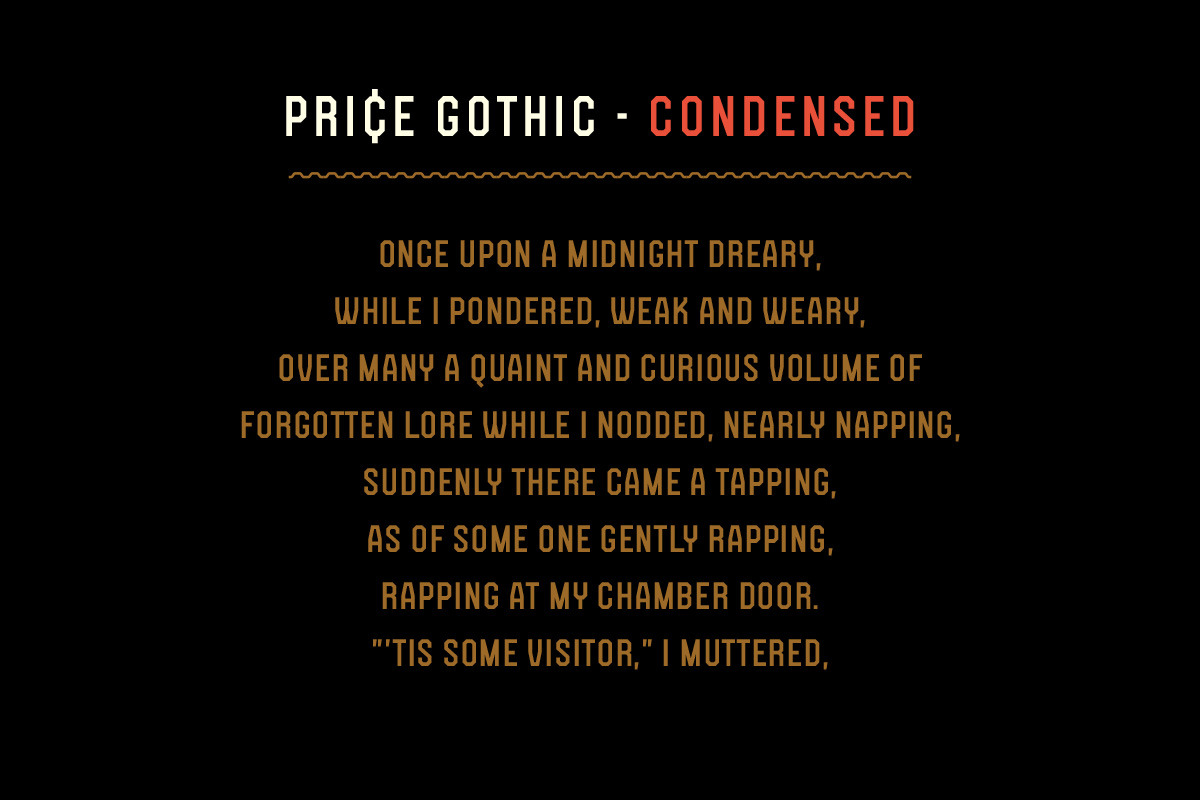 Price Gothic Font Family, a Sans Serif Font by Price Foundry (Photo 9 of 10)