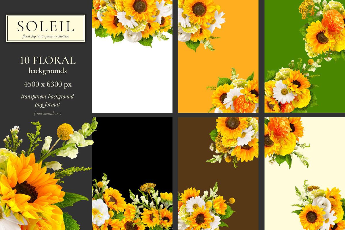 Soleil Floral Patterns & Clip Art, an Object Graphic by Eclectic Anthology (Photo 9 of 13)