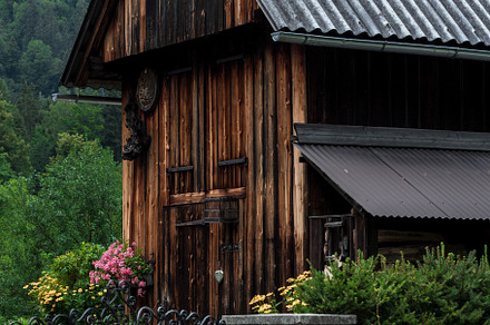 lumberjack's house in the forest. firewood house.flowers and beds